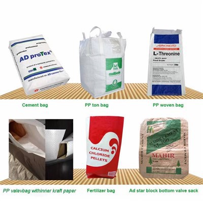 20kg 42kg 50kg PP Woven Back-seam Wall Putty Packaging Bag